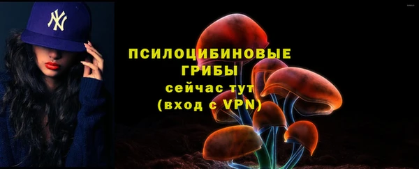 PSILOCYBIN Красноперекопск